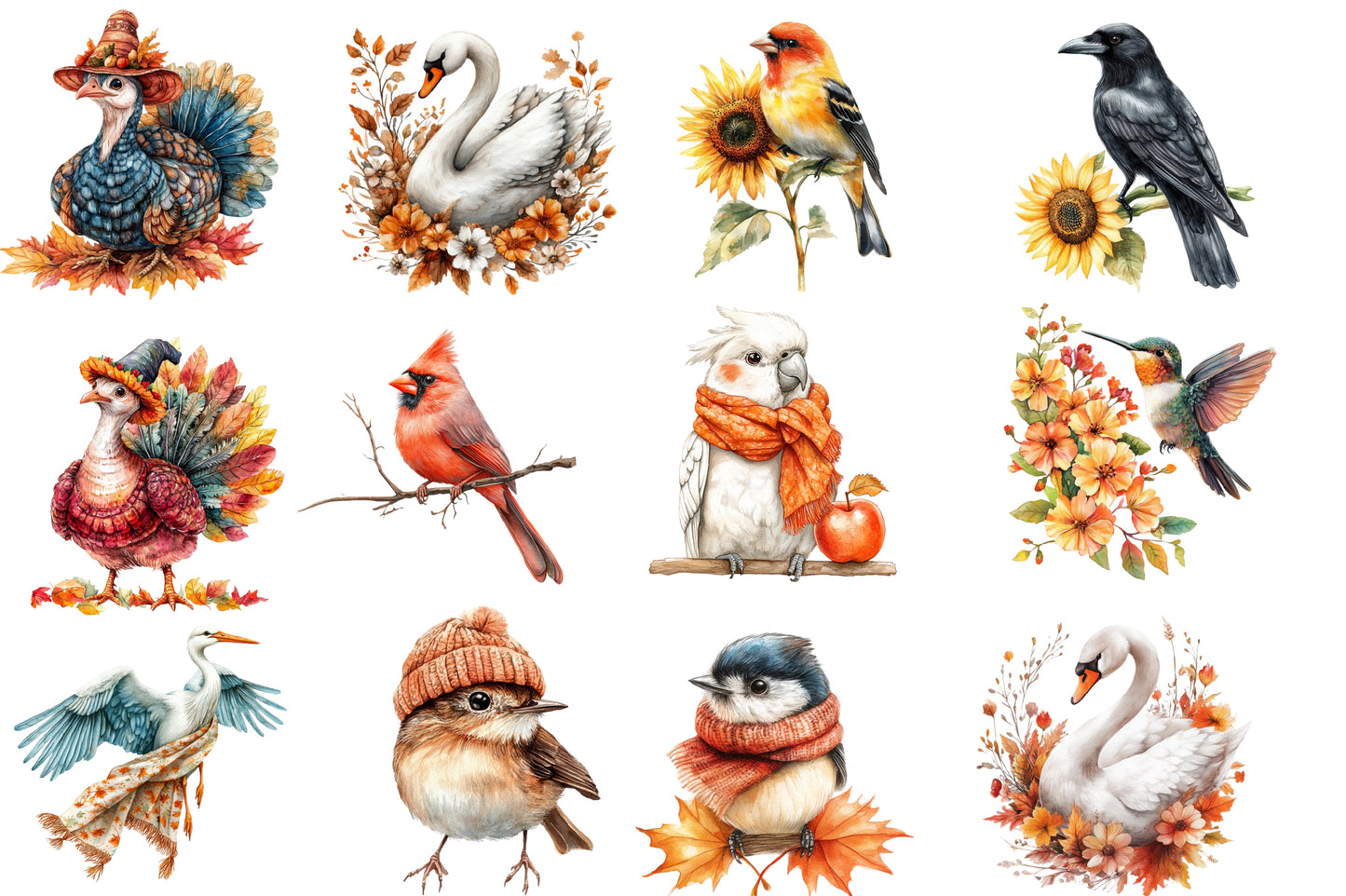 Autumn Birds Clipart PNG Bundle | Watercolor Fall Birds Clipart | Cozy Woodland Bird PNG