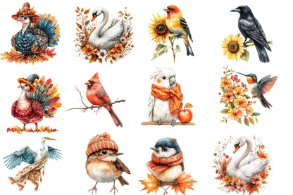Autumn Birds Clipart PNG Bundle | Watercolor Fall Birds Clipart | Cozy Woodland Bird PNG