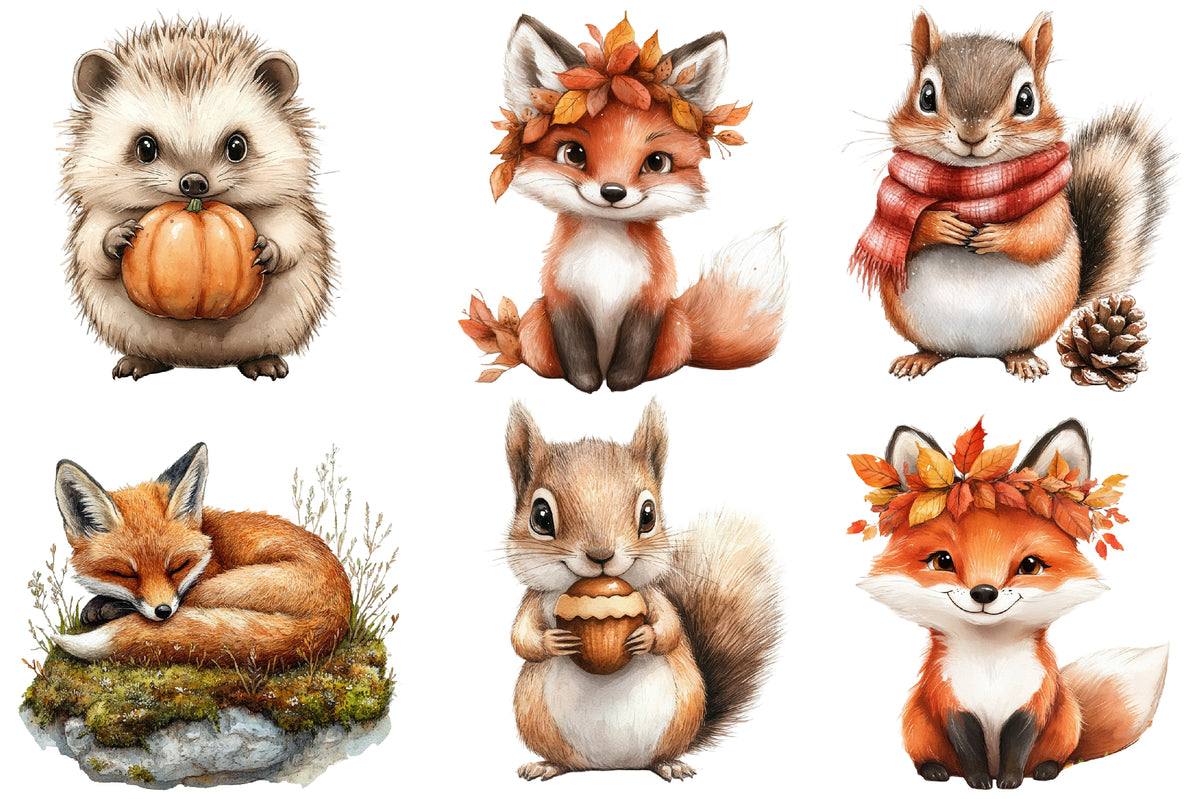 Fall Woodland Animals Clipart PNG Bundle | Cute Autumn Forest Animals | Woodland Creatures Sublimation