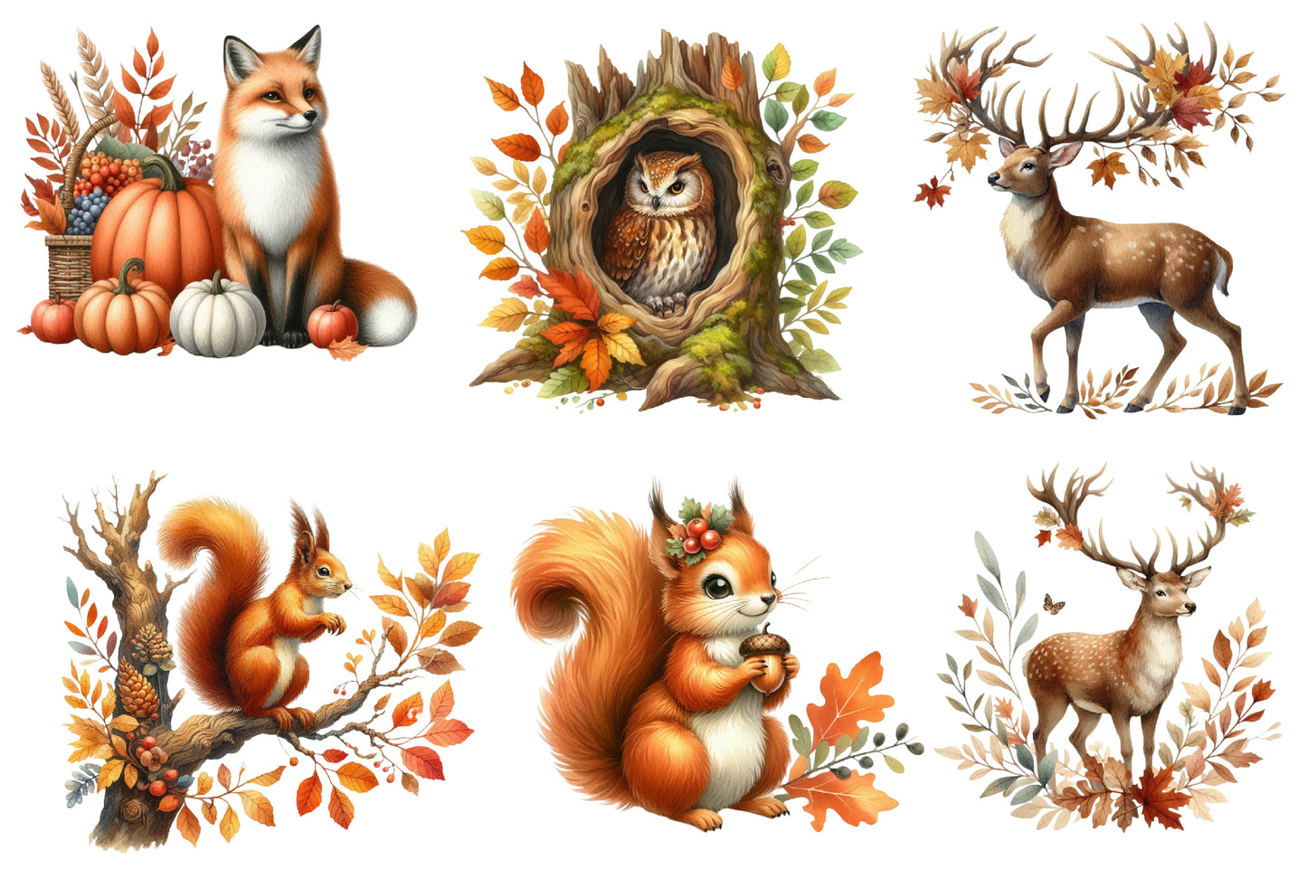 Autumn Forest Clipart PNG Bundle | Watercolor Woodland Forest Clipart | Cozy Fall Nature PNG
