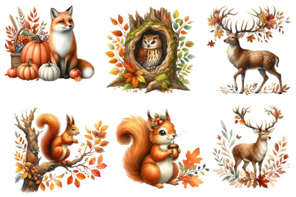 Autumn Forest Clipart PNG Bundle | Watercolor Woodland Forest Clipart | Cozy Fall Nature PNG