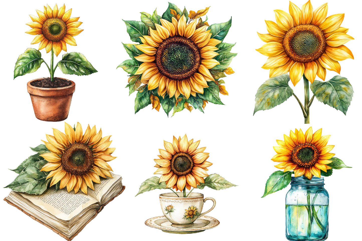 Autumn Sunflowers Clipart PNG Bundle | Watercolor Fall Sunflower Clipart | Rustic Harvest Floral PNG
