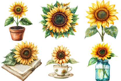 Autumn Sunflowers Clipart PNG Bundle | Watercolor Fall Sunflower Clipart | Rustic Harvest Floral PNG