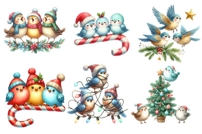 Christmas Funny Three Birds Sublimation PNG Bundle | Watercolor Cute Holiday Bird Trio Clipart | Funny Christmas Birds PNG