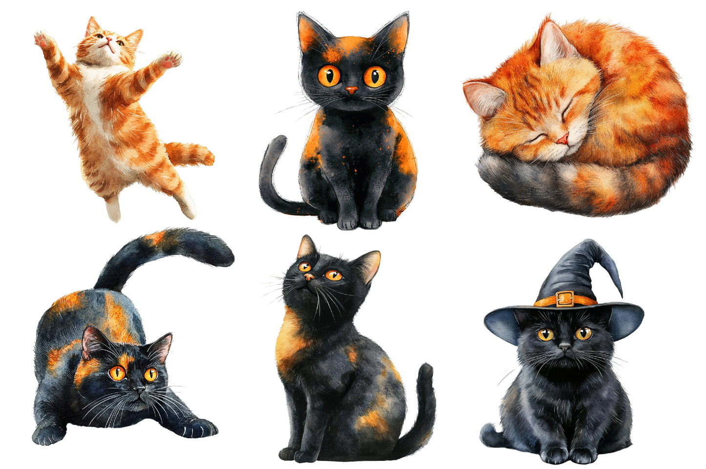 Halloween Black Cat Clipart PNG Bundle | Black Cat Halloween PNG, Witch Cat Clipart,