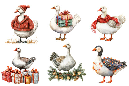 Christmas Silly Goose PNG Clipart Bundle | Cute Funny Christmas Goose Clipart | Watercolor Holiday Goose Sublimation PNG