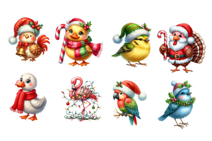 Christmas Bird Clipart PNG Bundle | Watercolor Festive Winter Bird Clipart | Holiday Bird Sublimation PNG