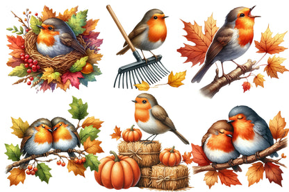 Autumn Robin Clipart PNG Bundle | Watercolor Fall Robin Bird Clipart | Cozy Woodland Robin PNG