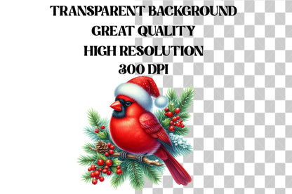 Watercolor Christmas Red Cardinal Bird Clipart PNG Bundle | Holiday Cardinal Bird