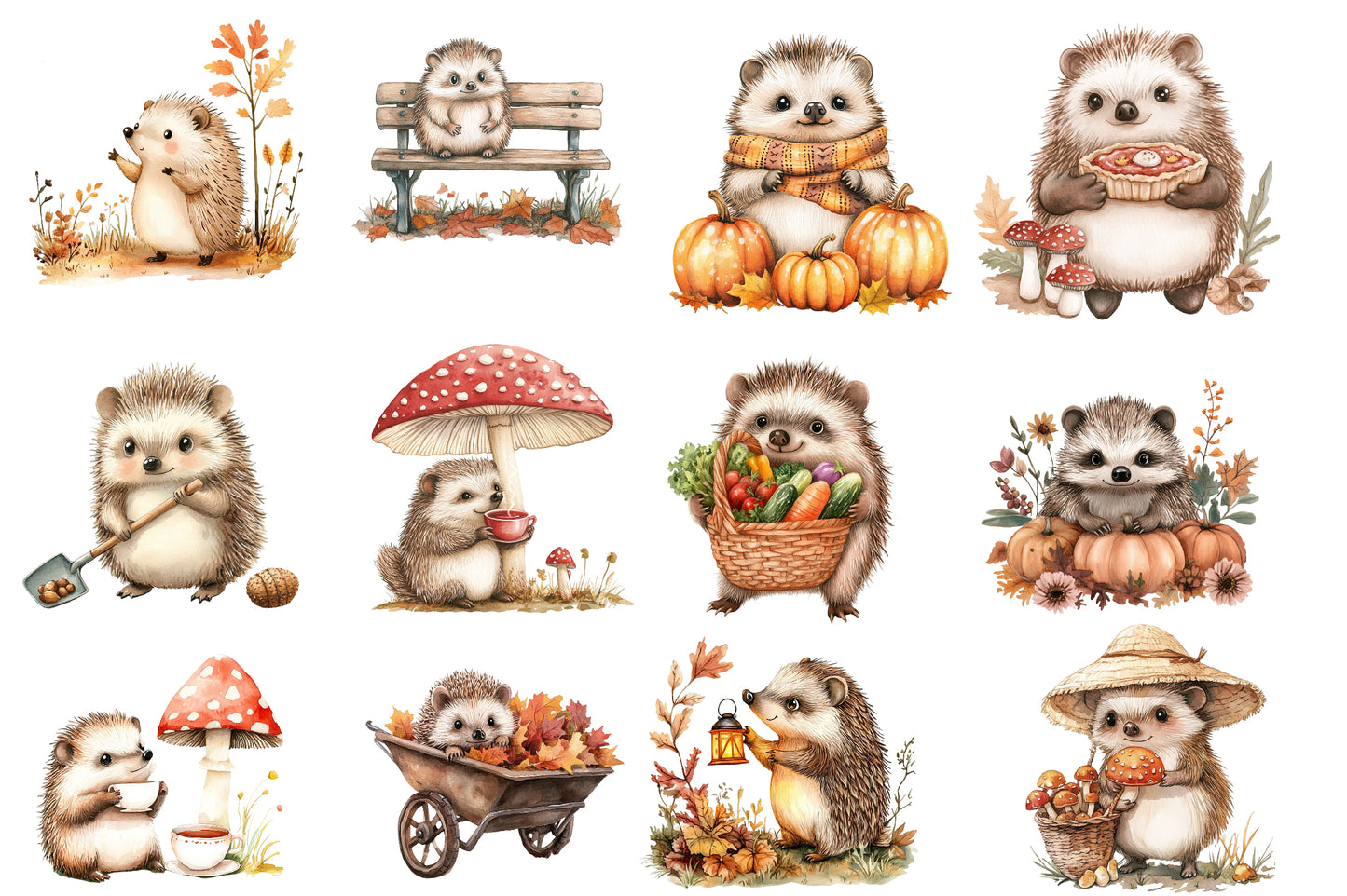 Autumn Hedgehog Garden Clipart PNG Bundle | Cute Hedgehog Watercolor Clipart