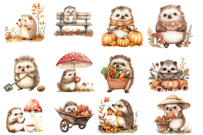 Autumn Hedgehog Garden Clipart PNG Bundle | Cute Hedgehog Watercolor Clipart