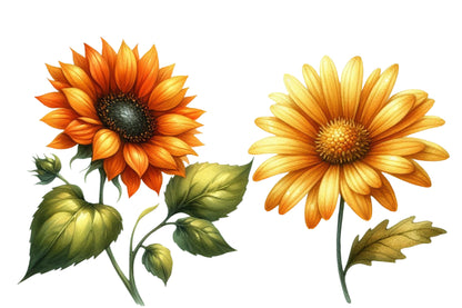 Fall Wildflowers Clipart PNG Bundle | Autumn Wildflower Clipart, Rustic Floral PNG,