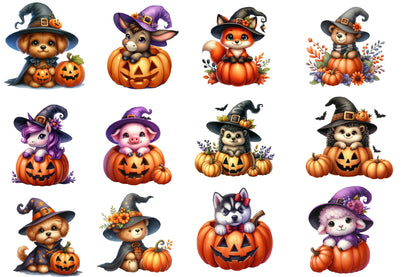 Halloween Animals Clipart PNG Bundle | Cute Witch Animal PNG, Spooky Pumpkin Animal Clipart