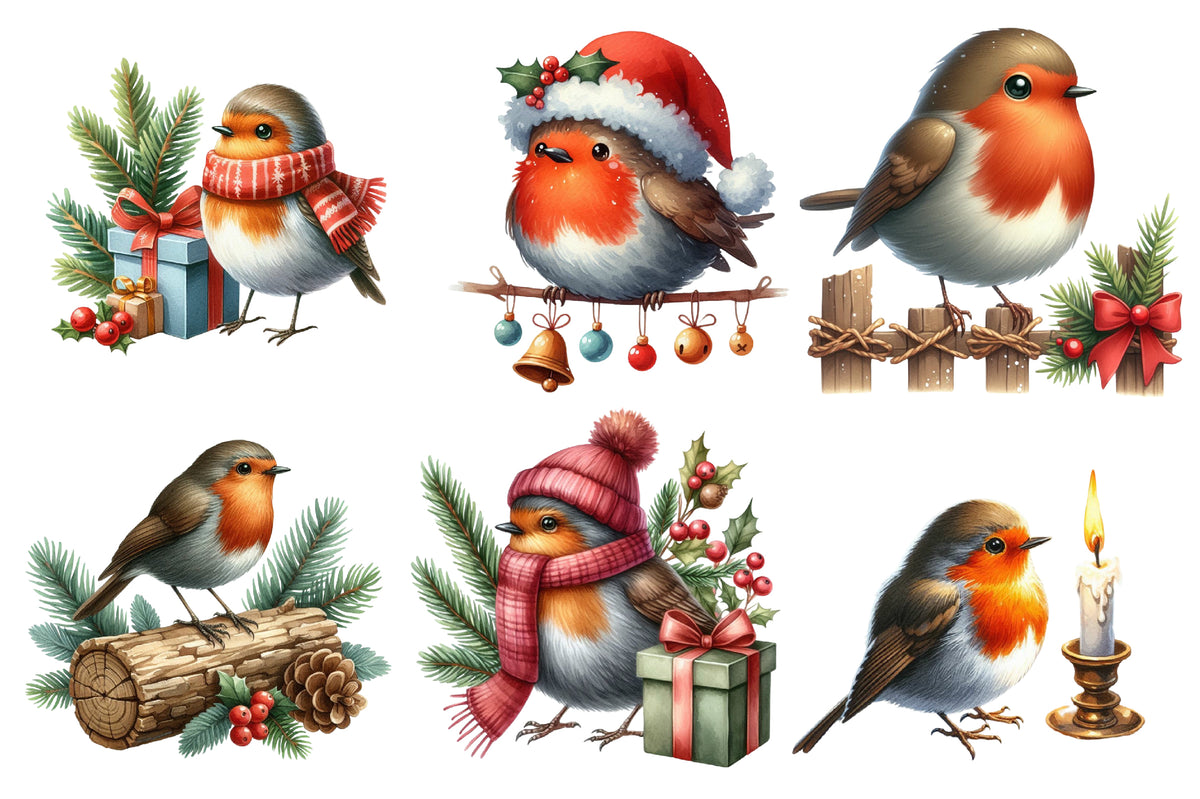 Christmas Robin Watercolor Clipart PNG Bundle | Cute Christmas Bird Clipart | Holiday Sublimation