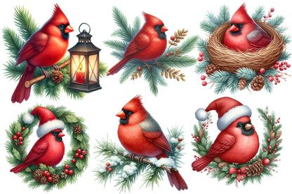 Cardinal Christmas Watercolor Clipart PNG Bundle | Red Cardinal Christmas Clipart | Christmas Bird Sublimation PNG