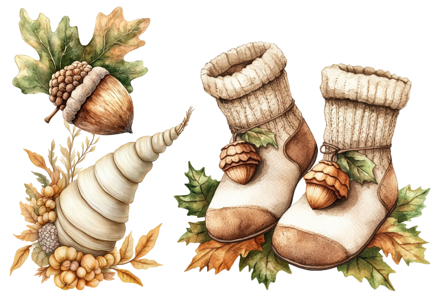 Beige Autumn Clipart PNG Bundle | Neutral Watercolor Fall Botanical Clipart | Cozy Boho Harvest PNG
