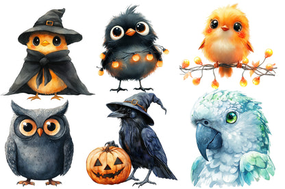 Halloween Birds Clipart PNG Bundle | Spooky Owls, Crows, Ravens, Bats & Witch Bird PNG