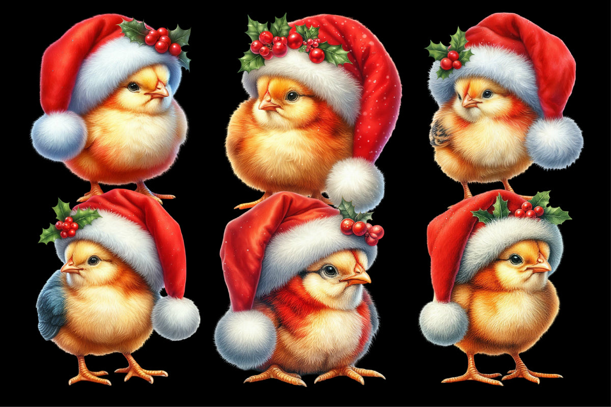 15 Christmas Chicken PNG Clipart Bundle Watercolor Santa Hat Holiday Chick