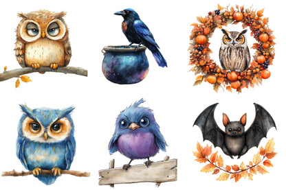 Halloween Birds Clipart PNG Bundle | Spooky Owls, Crows, Ravens, Bats & Witch Bird PNG