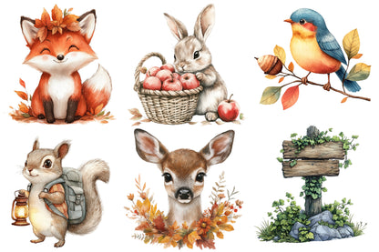Fall Woodland Animals Clipart PNG Bundle | Cute Autumn Forest Animals | Woodland Creatures Sublimation
