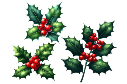 Christmas Red Berries Branches Clipart PNG Bundle | Watercolor Winter Red Berry Branches | Holiday Botanical Sublimation PNG