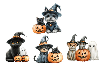 Halloween Dog and Cat Clipart PNG | Cute Witch Hat Pets, Black Cat & Puppy Pumpkin Clipart,