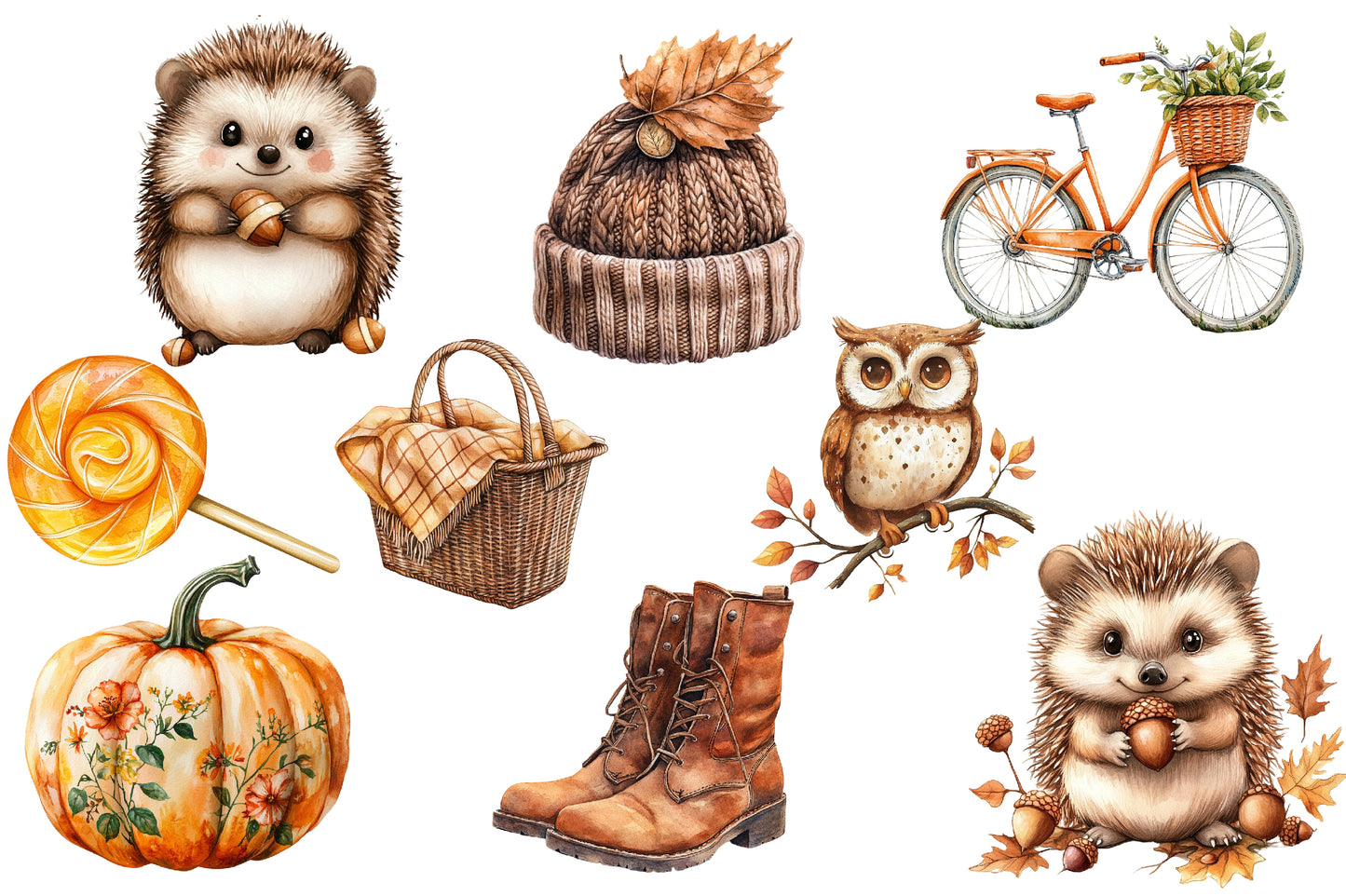 Autumn Aesthetic Elements Clipart PNG Bundle | Watercolor Fall Cozy Elements Clipart | Boho Autumn PNG