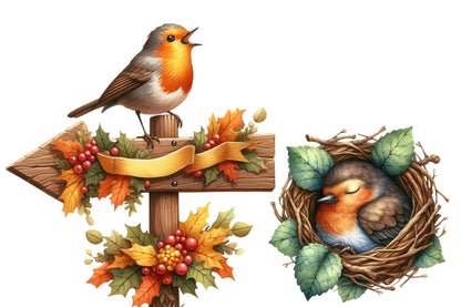 Autumn Robin Clipart PNG Bundle | Watercolor Fall Robin Bird Clipart | Cozy Woodland Robin PNG