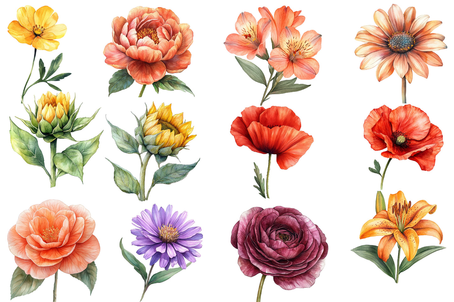 Watercolor Fall Flowers Clipart Bundle 36 PNG
