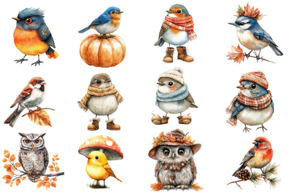 Watercolor Whimsical Fall Birds Clipart Bundle 29 PNG