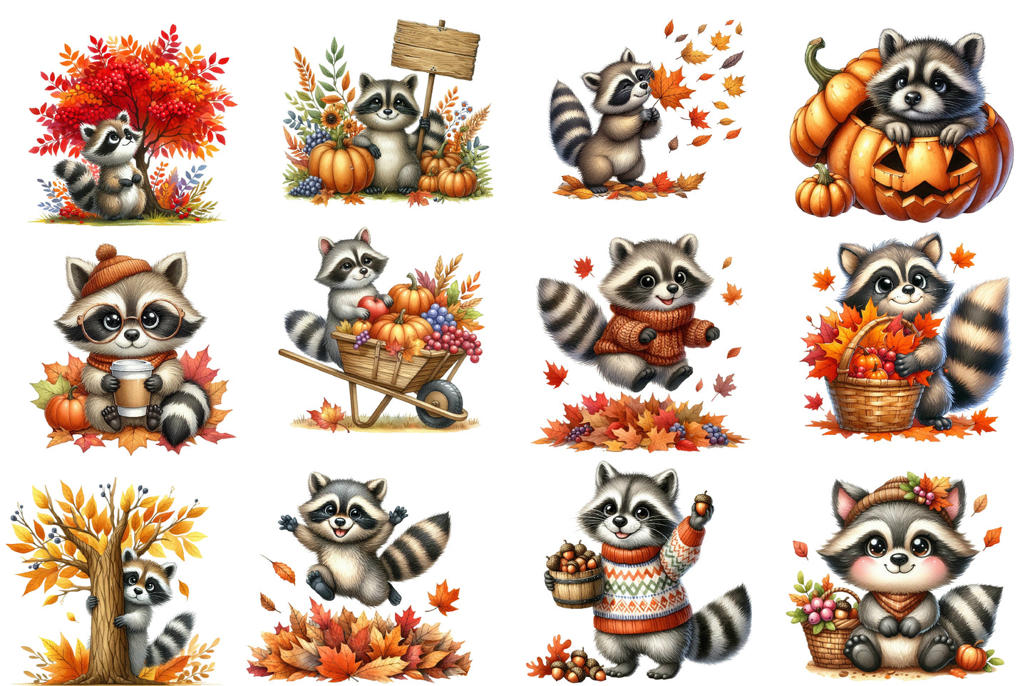 Watercolor Autumn Raccoon Clipart Bundle Cute Fall Raccoon PNG