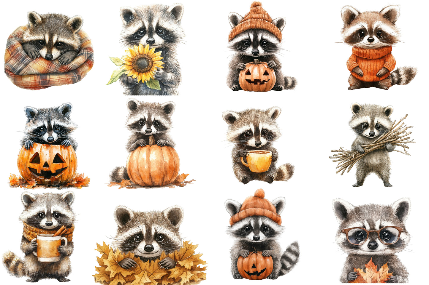 Watercolor Autumn Raccoons Clipart Bundle Cute Fall Raccoon PNG