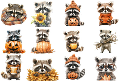 Watercolor Autumn Raccoons Clipart Bundle Cute Fall Raccoon PNG