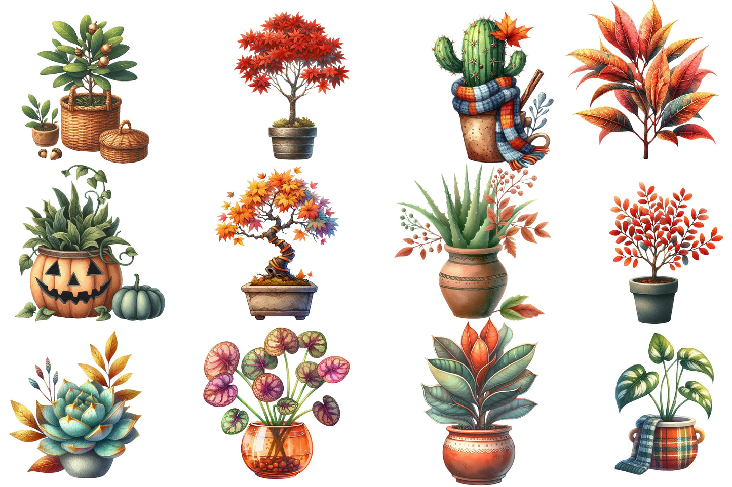 Autumn Houseplant Watercolor Clipart PNG Bundle | Fall Plant Clipart | Botanical Houseplant Sublimation PNG