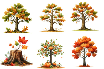 Autumn Tree Sublimation Clipart PNG Bundle | Watercolor Fall Tree Clipart | Rustic Harvest Woodland Tree PNG