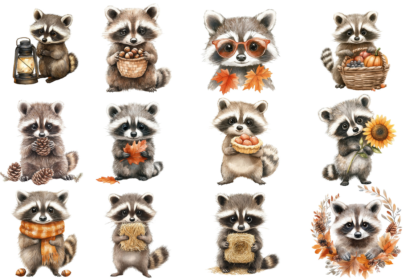 Watercolor Autumn Raccoons Clipart Bundle Cute Fall Raccoon PNG