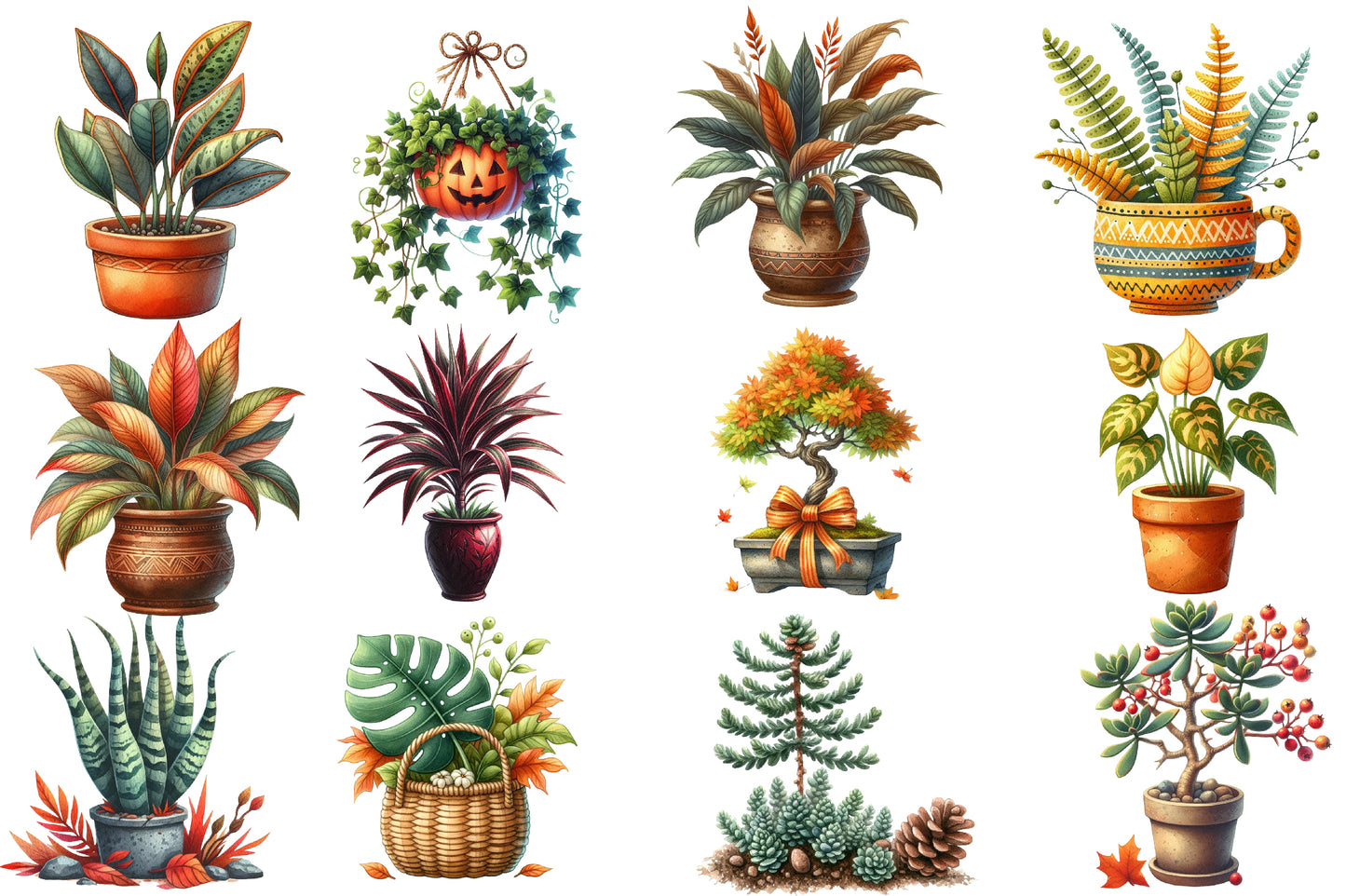 Autumn Houseplant Watercolor Clipart PNG Bundle | Fall Plant Clipart | Botanical Houseplant Sublimation PNG