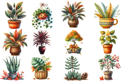 Autumn Houseplant Watercolor Clipart PNG Bundle | Fall Plant Clipart | Botanical Houseplant Sublimation PNG