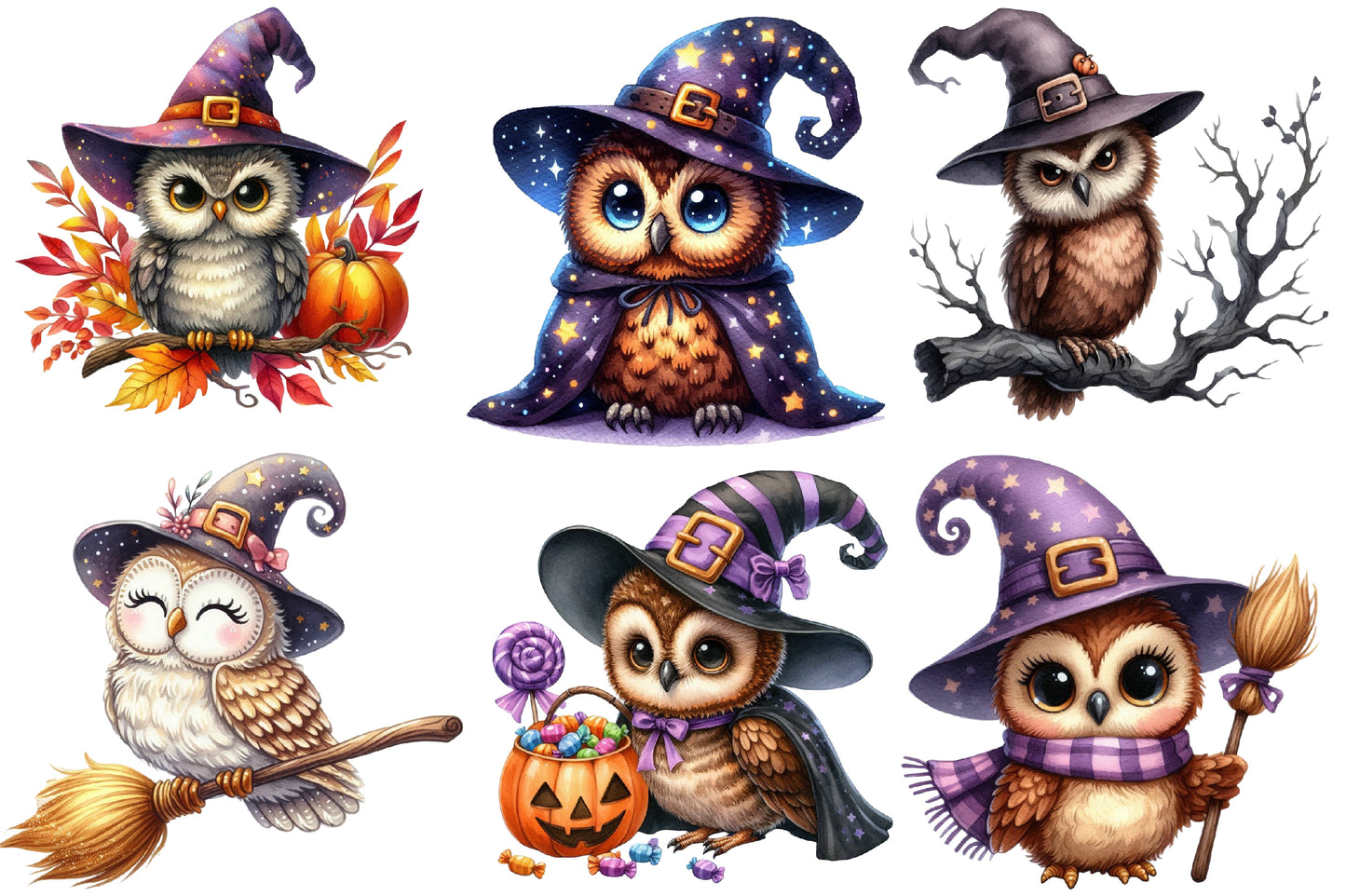Watercolor Halloween Witch Owl Clipart PNG Bundle | Cute Owl Witch PNG
