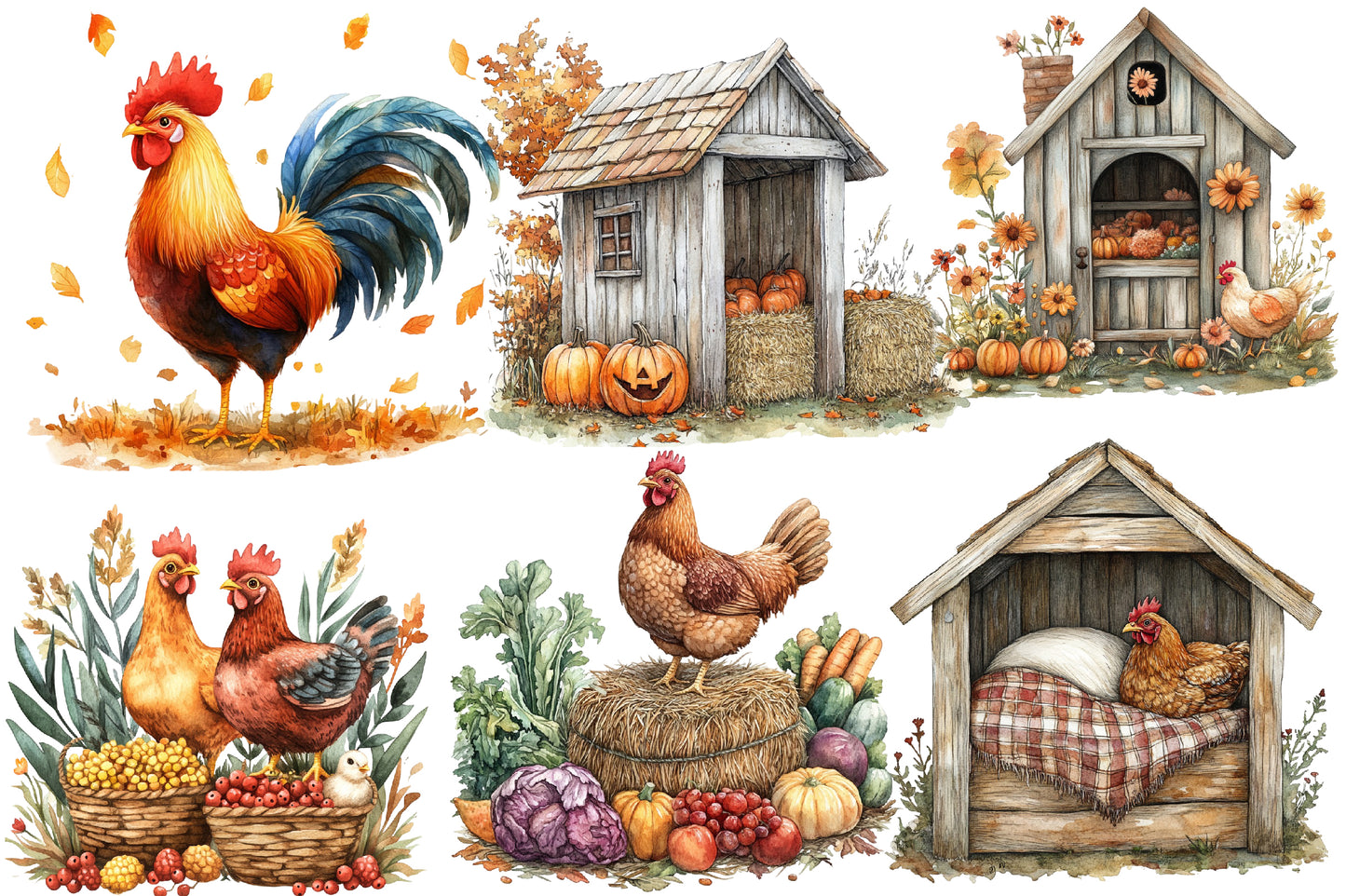 Watercolor Fall Chicken Clipart Bundle Farmhouse Autumn PNG