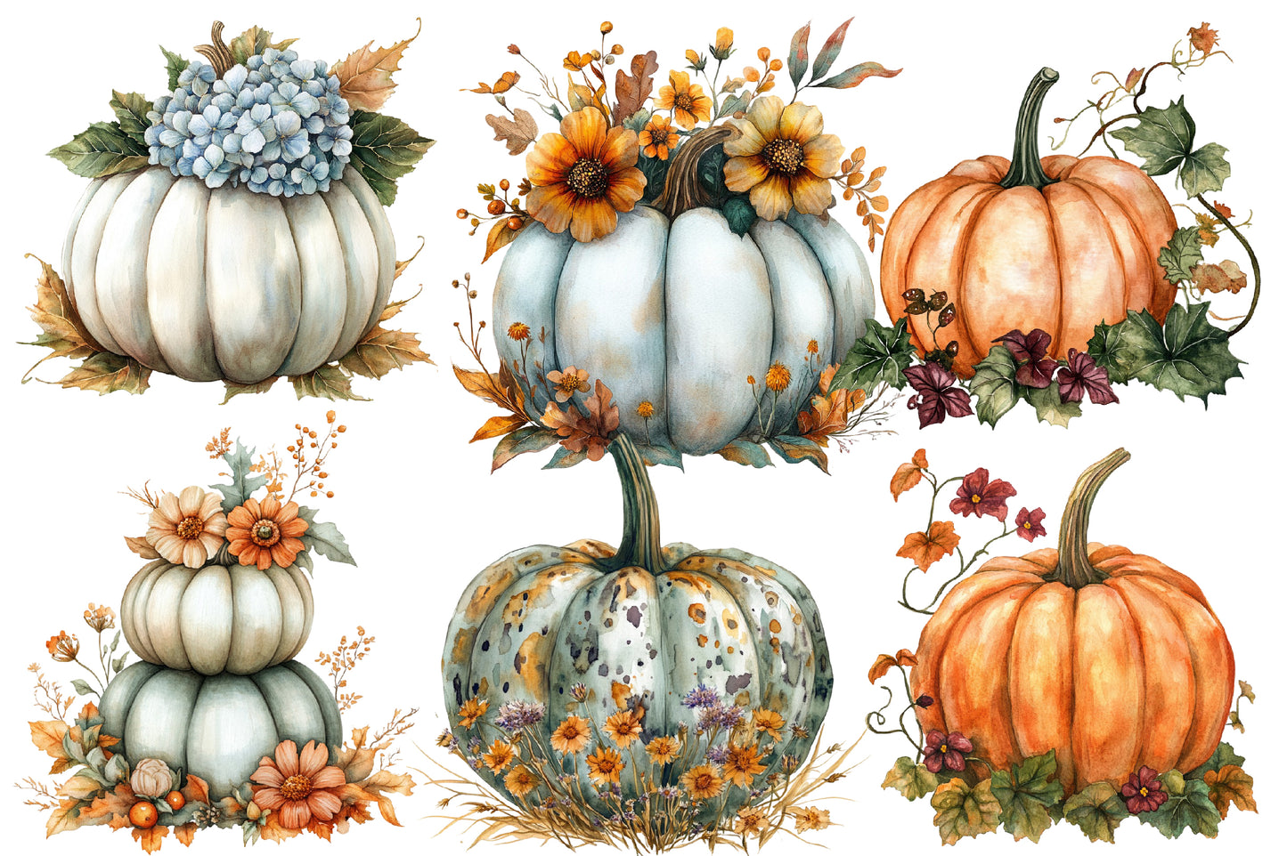 Autumn Pumpkin Floral PNG Bundle | Watercolor Pumpkin Clipart, Fall Pumpkin PNG