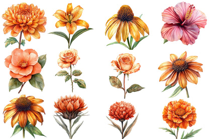 Watercolor Fall Flowers Clipart Bundle 36 PNG