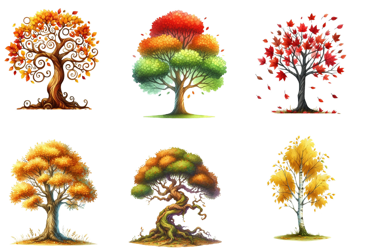 Autumn Tree Sublimation Clipart PNG Bundle | Watercolor Fall Tree Clipart | Rustic Harvest Woodland Tree PNG