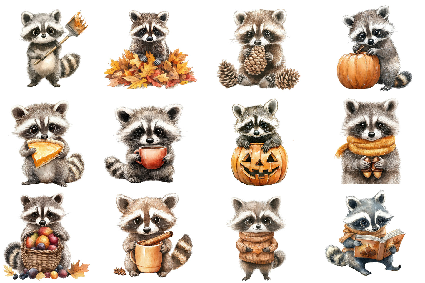 Watercolor Autumn Raccoons Clipart Bundle Cute Fall Raccoon PNG