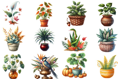 Autumn Houseplant Watercolor Clipart PNG Bundle | Fall Plant Clipart | Botanical Houseplant Sublimation PNG