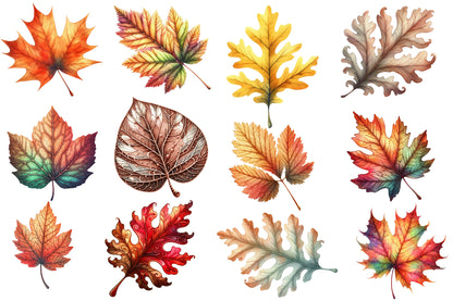 Autumn Leaf Watercolor Clipart PNG Bundle | Fall Leaves PNG | Autumn Leaf Sublimation | Watercolor Fall Clipart
