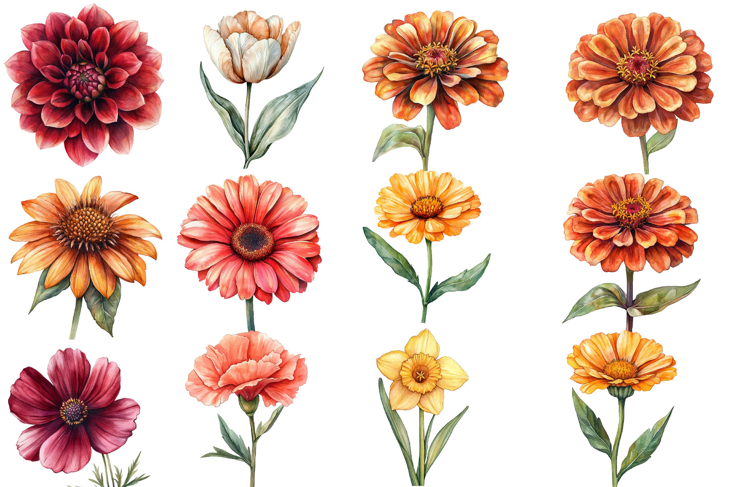 Watercolor Fall Flowers Clipart Bundle 36 PNG