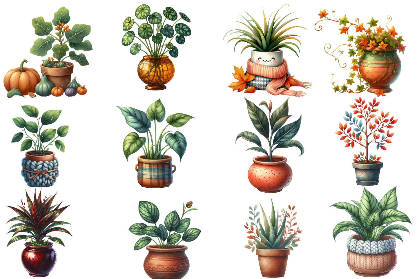 Autumn Houseplant Watercolor Clipart PNG Bundle | Fall Plant Clipart | Botanical Houseplant Sublimation PNG
