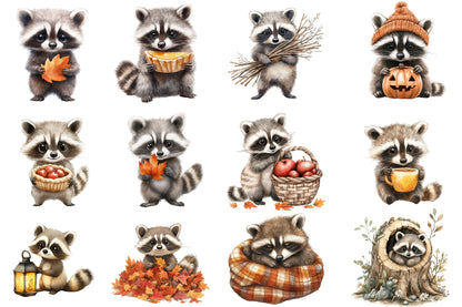 Watercolor Autumn Raccoons Clipart Bundle Cute Fall Raccoon PNG