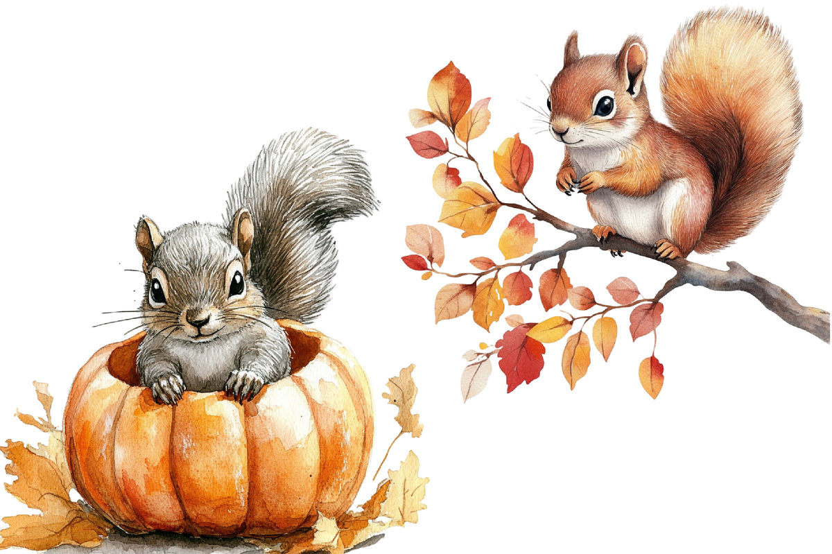 Watercolor Autumn Fall Squirrels Clipart Bundle Cute Woodland PNG